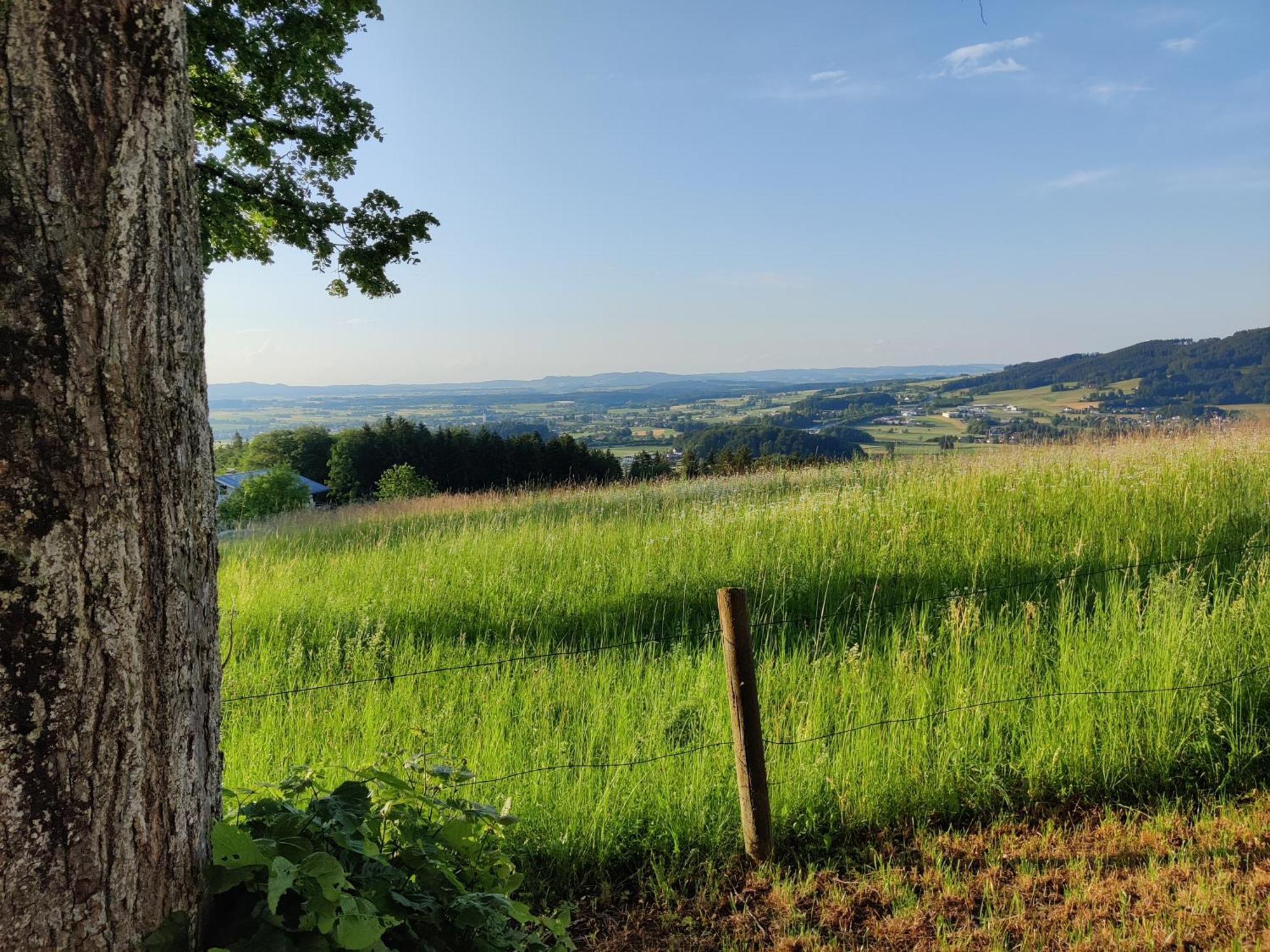 Pension Holzapfel Sankt Georgen im Attergau Kültér fotó